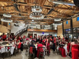 Red Dress Gala celebrates Pulse's dedication to improving women's heart health 7